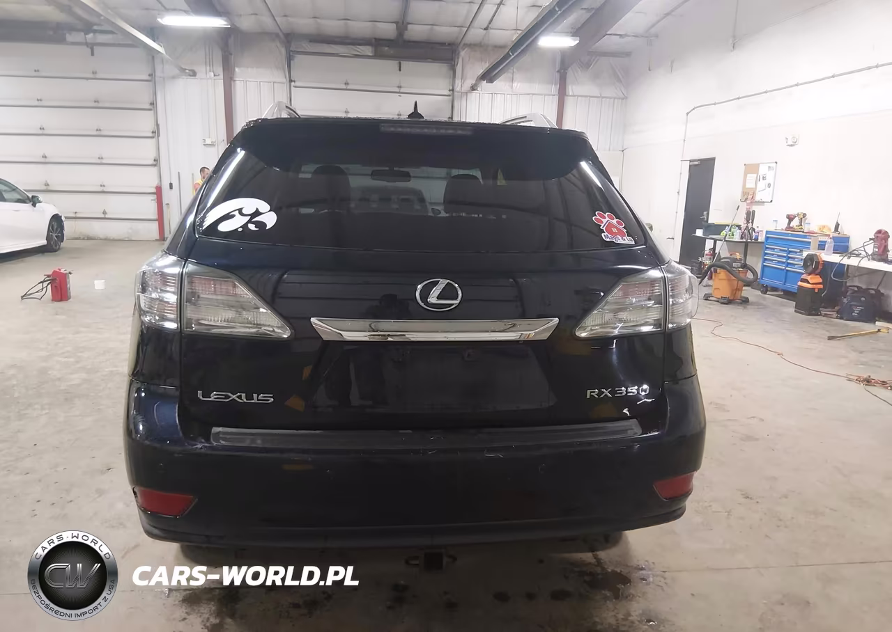 2010 Lexus Rx 350 VIN:2T2BK1BA3AC024679 - 16