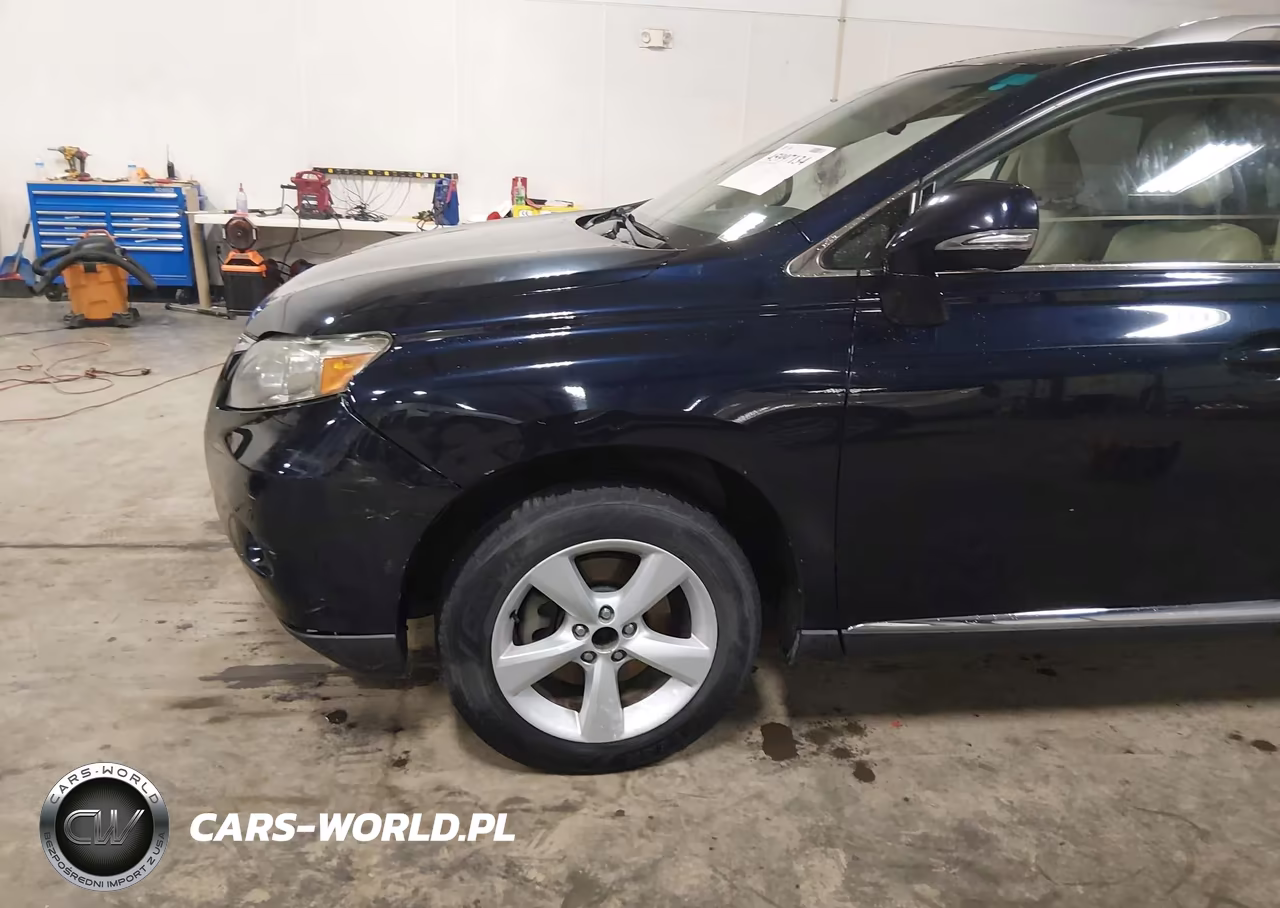 2010 Lexus Rx 350 VIN:2T2BK1BA3AC024679 - 6