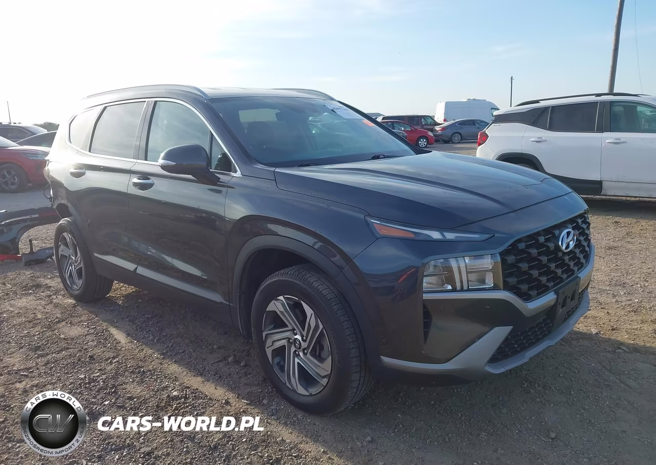 2023 Hyundai Santa Fe Sel VIN:5NMS2DAJ4PH503042 - 1
