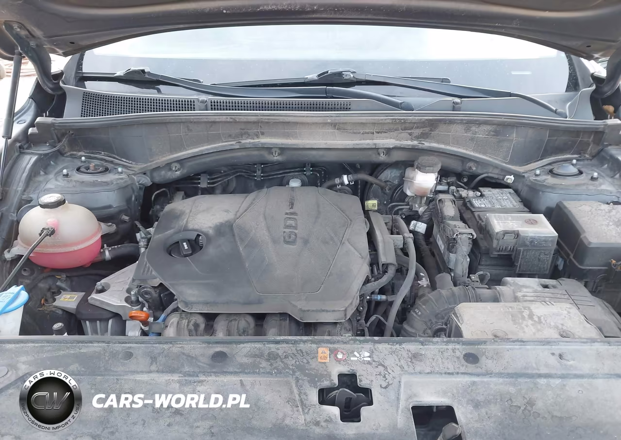 2023 Hyundai Santa Fe Sel VIN:5NMS2DAJ4PH503042 - 10