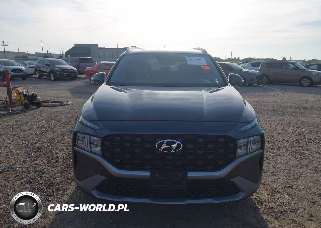 2023 Hyundai Santa Fe Sel VIN:5NMS2DAJ4PH503042 - 13