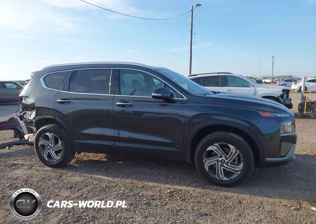 2023 Hyundai Santa Fe Sel VIN:5NMS2DAJ4PH503042 - 14