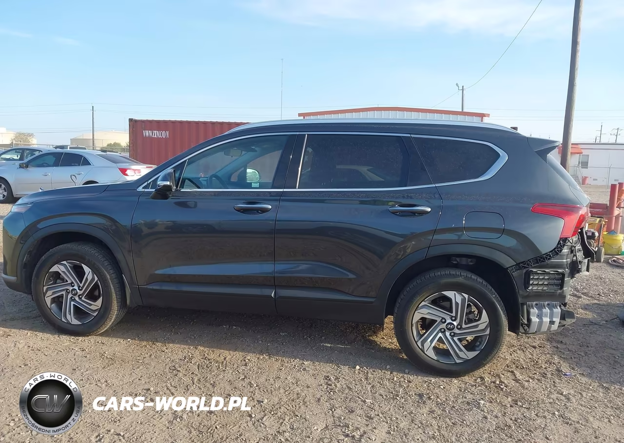 2023 Hyundai Santa Fe Sel VIN:5NMS2DAJ4PH503042 - 15