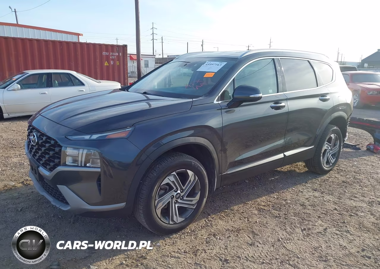 2023 Hyundai Santa Fe Sel VIN:5NMS2DAJ4PH503042 - 2