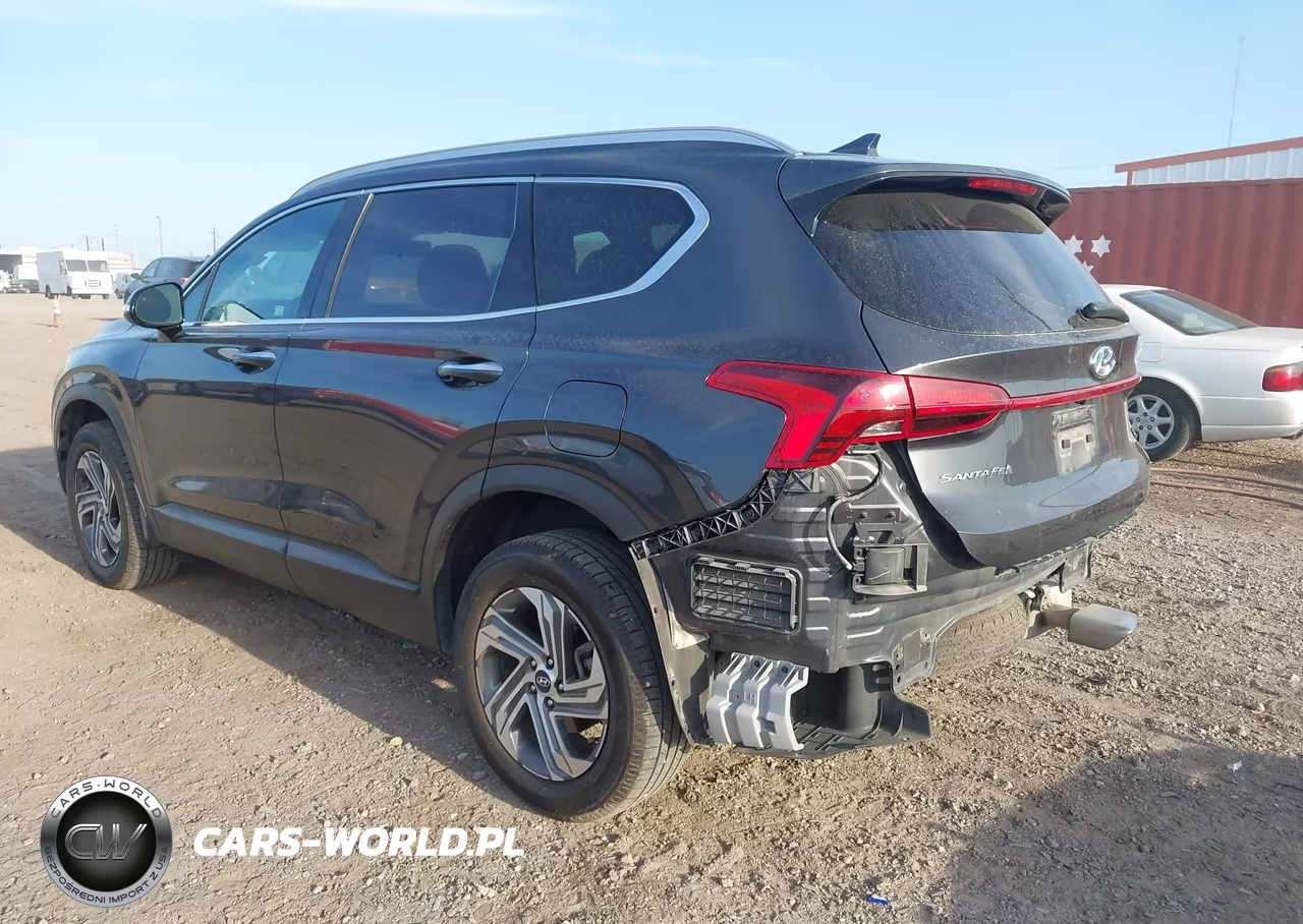2023 Hyundai Santa Fe Sel VIN:5NMS2DAJ4PH503042 - 3