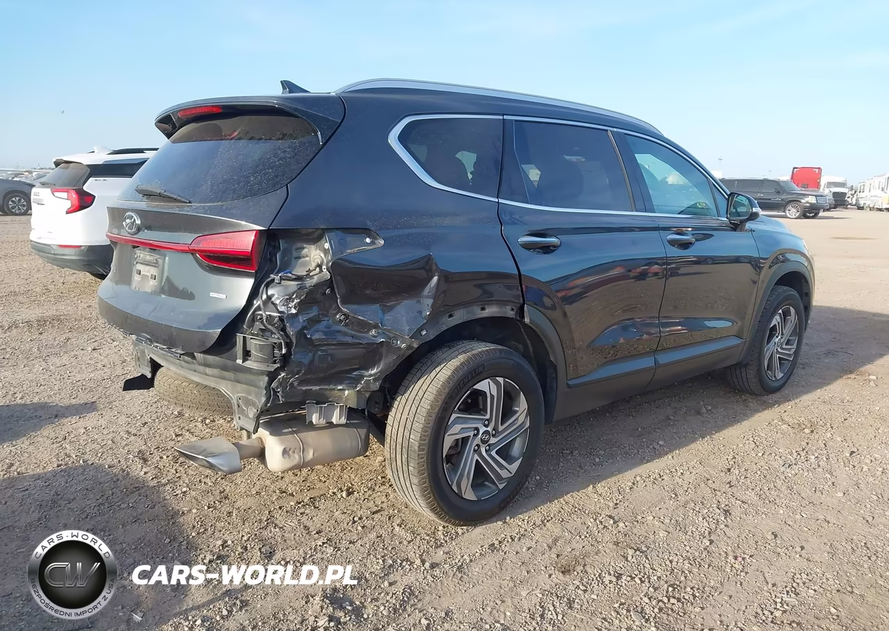 2023 Hyundai Santa Fe Sel VIN:5NMS2DAJ4PH503042 - 4