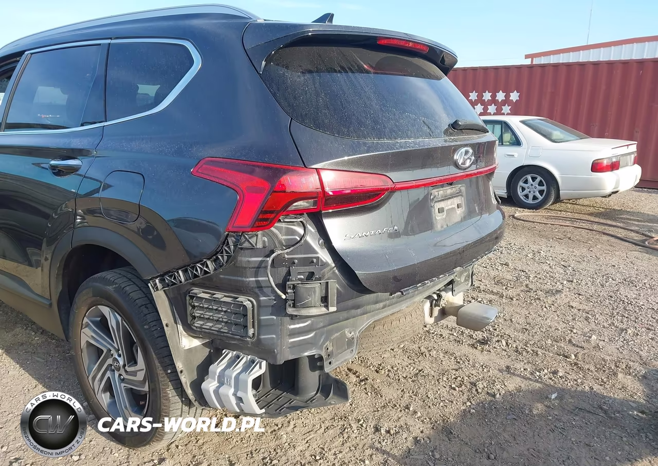 2023 Hyundai Santa Fe Sel VIN:5NMS2DAJ4PH503042 - 6