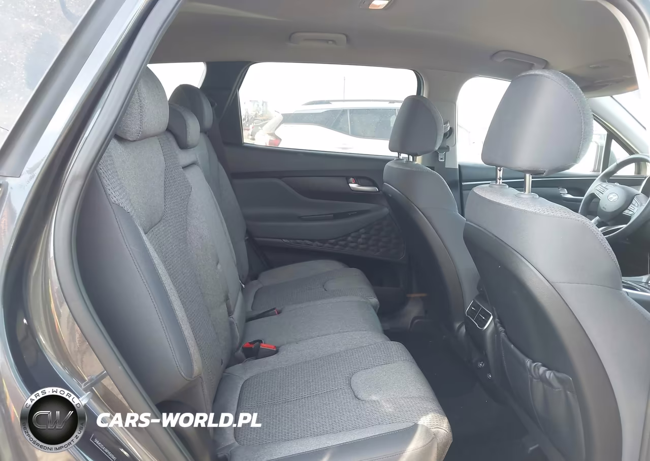 2023 Hyundai Santa Fe Sel VIN:5NMS2DAJ4PH503042 - 8