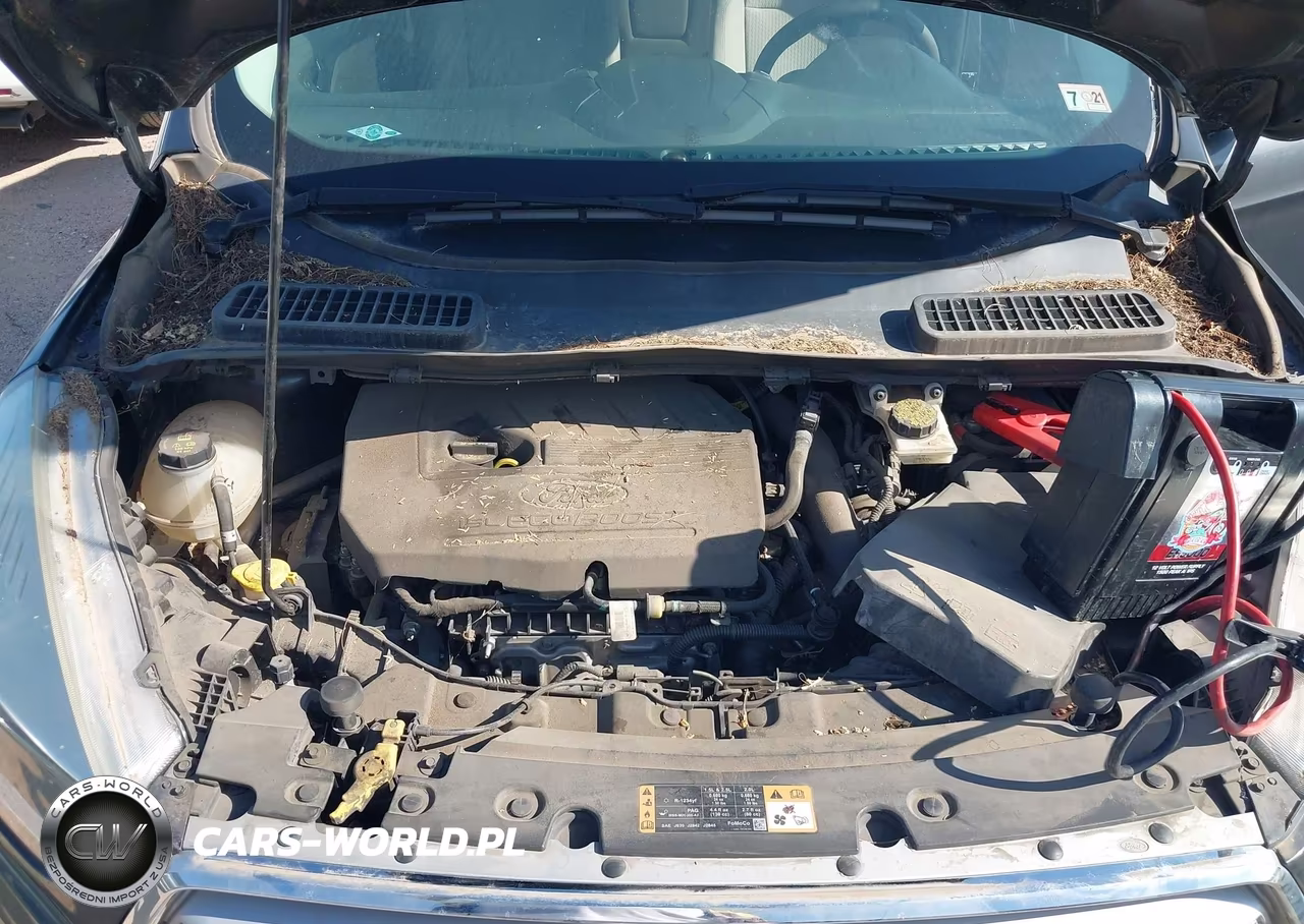 2018 Ford Escape Se VIN:1FMCU0GD5JUB15418 - 10