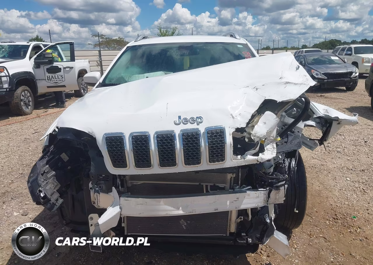 2019 Jeep Cherokee Latitude Fwd VIN:1C4PJLCB2KD490558 - 12