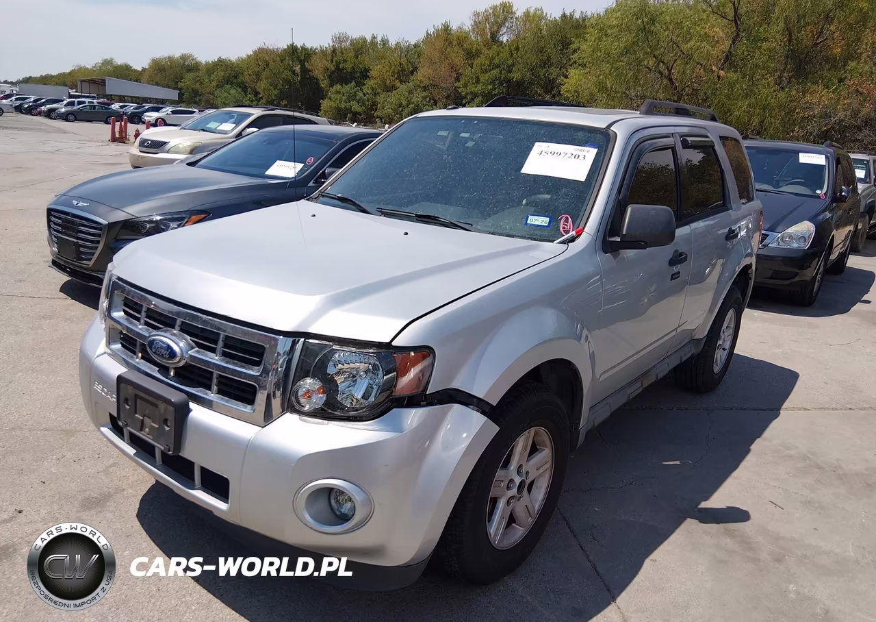 2011 Ford Escape Xlt VIN:1FMCU0DGXBKA31901 - 2
