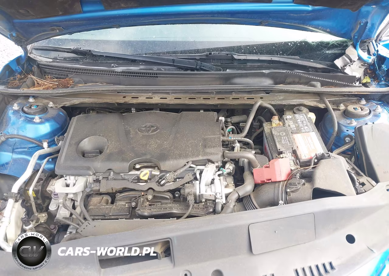 2018 Toyota Camry Se VIN:4T1B11HK1JU033306 - 10