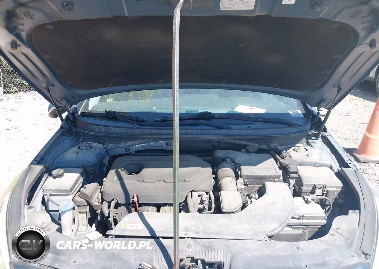2016 Hyundai Sonata Sport VIN:5NPE34AF5GH393546 - 10