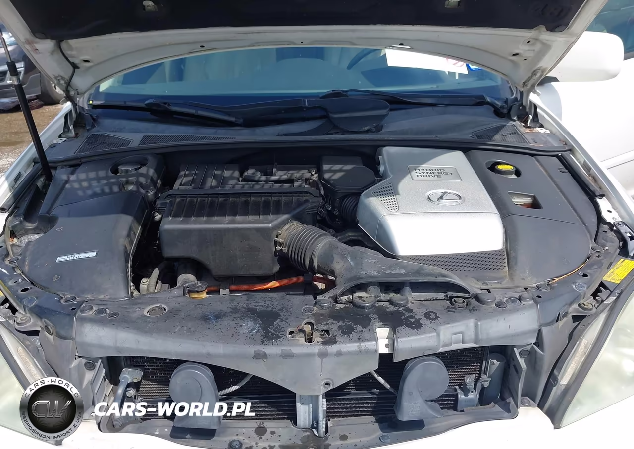 2006 Lexus Rx 400H VIN:JTJHW31U860017056 - 10