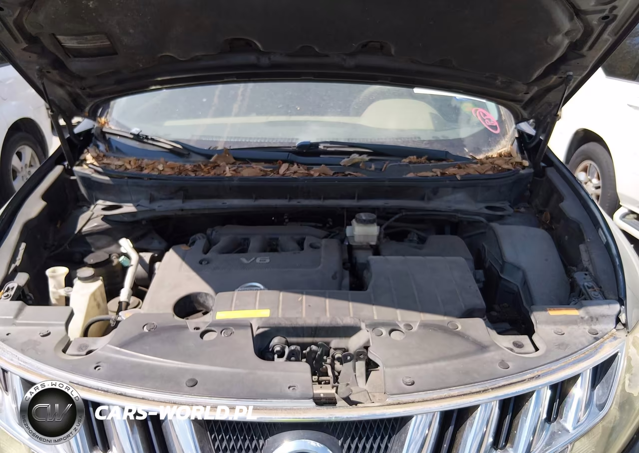 2009 Nissan Murano Le VIN:JN8AZ18W79W206116 - 10
