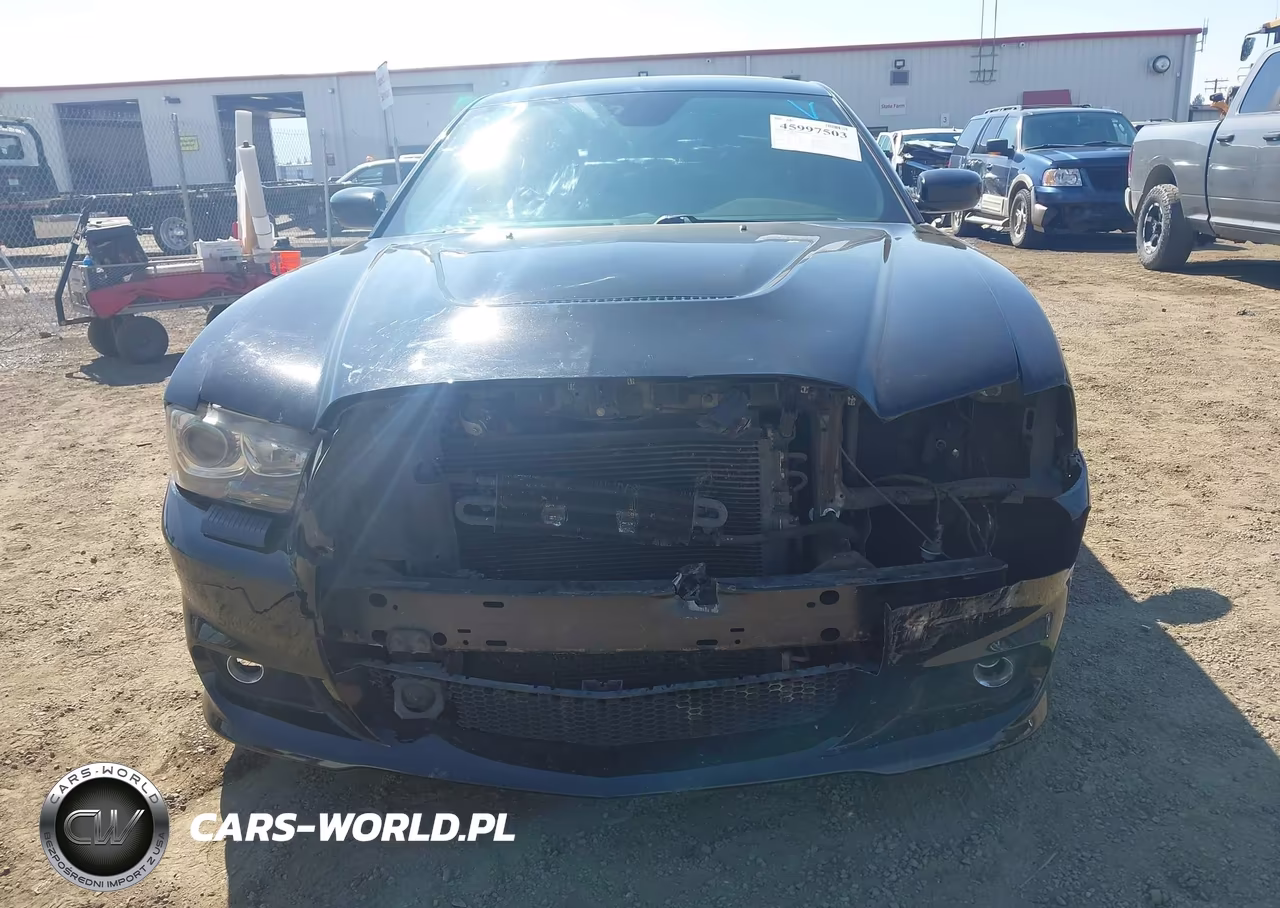 2013 Dodge Charger Srt VIN:2C3CDXEJ4DH507517 - 6