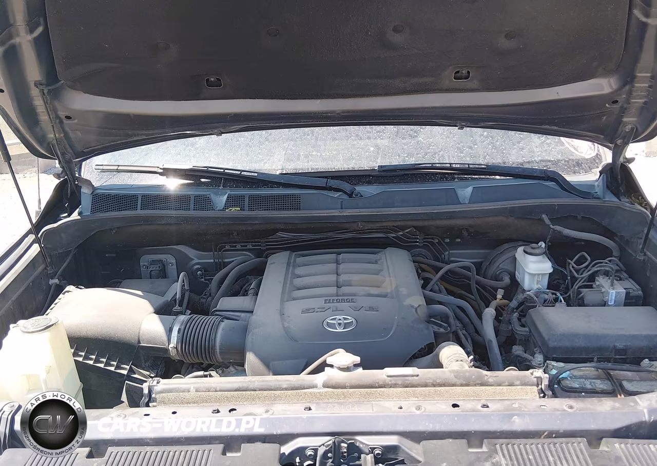 2016 Toyota Tundra Platinum 5.7L V8 VIN:5TFGW5F12GX201653 - 10