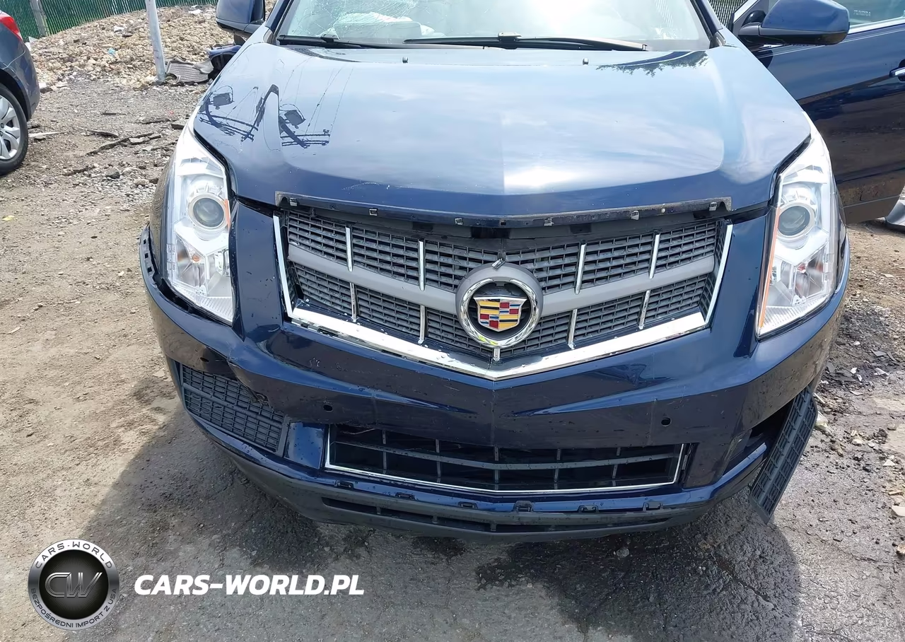 2011 Cadillac Srx Luxury Collection VIN:3GYFNDEY3BS515503 - 6