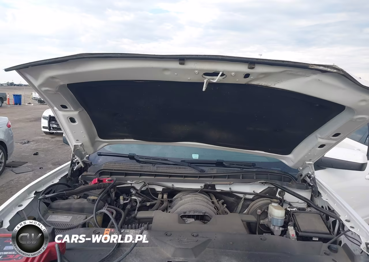 2018 Chevrolet Silverado 1500 2Lt VIN:3GCUKREC9JG440637 - 10