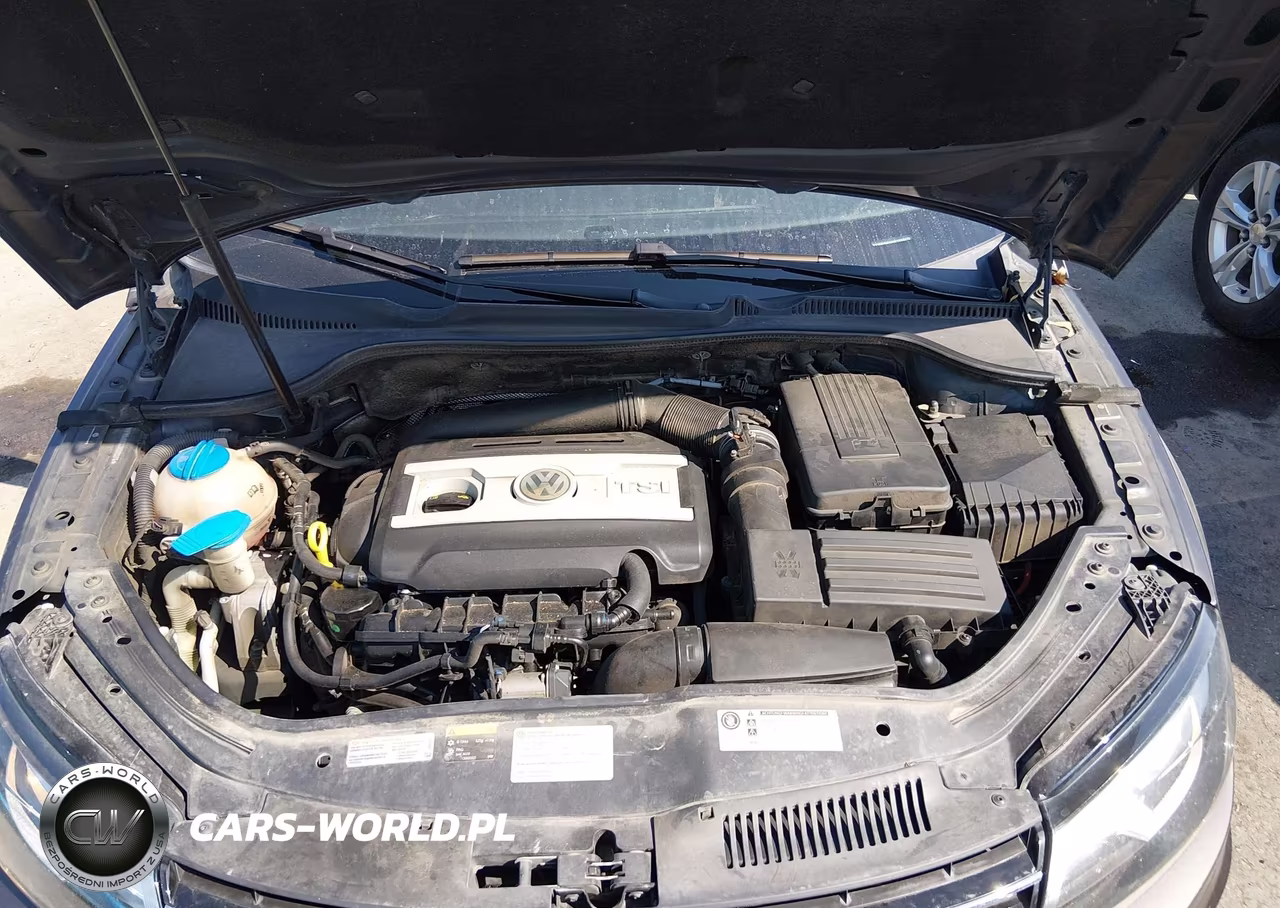 2014 Volkswagen Eos Komfort VIN:WVWBW8AH4EV005075 - 10