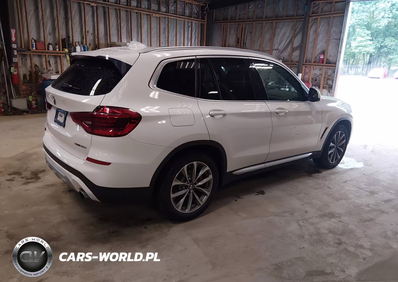 2019 BMW X3 xDrive30I VIN:5UXTR9C57KLP94493 - 4