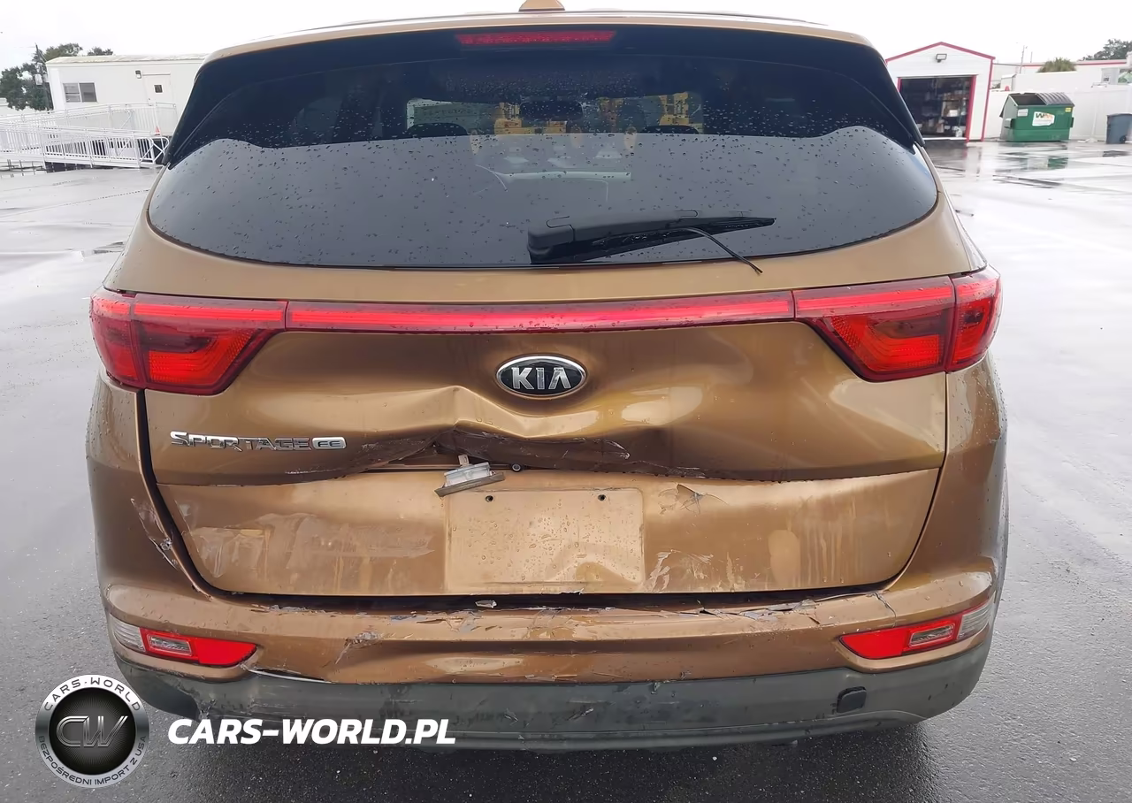 2017 Kia Sportage Lx VIN:KNDPM3ACXH7206300 - 18