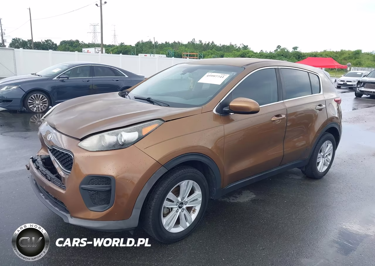 2017 Kia Sportage Lx VIN:KNDPM3ACXH7206300 - 2
