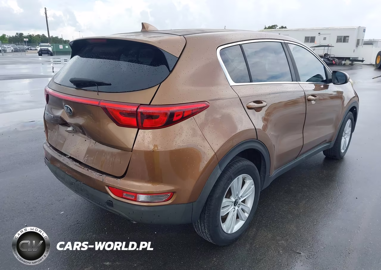 2017 Kia Sportage Lx VIN:KNDPM3ACXH7206300 - 4
