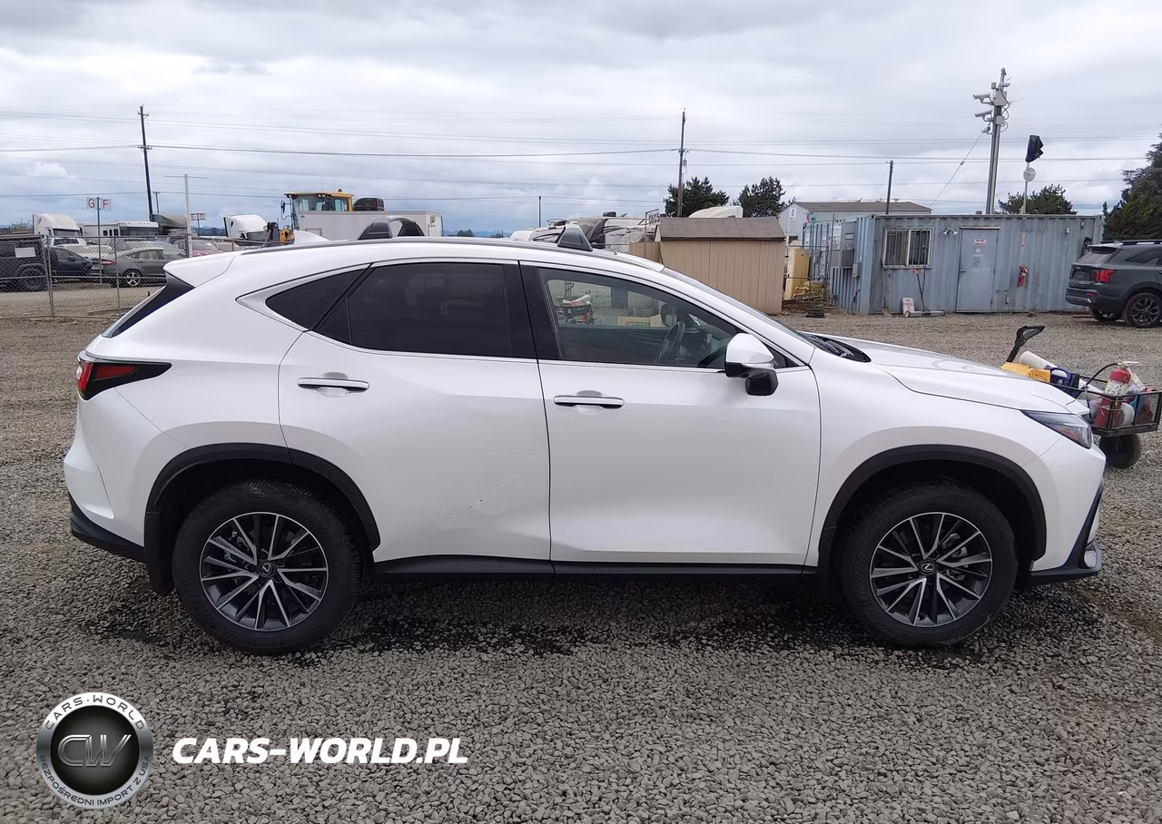 2025 Lexus Nx 350H Premium VIN:JTJGKCEZ3S2043821 - 13