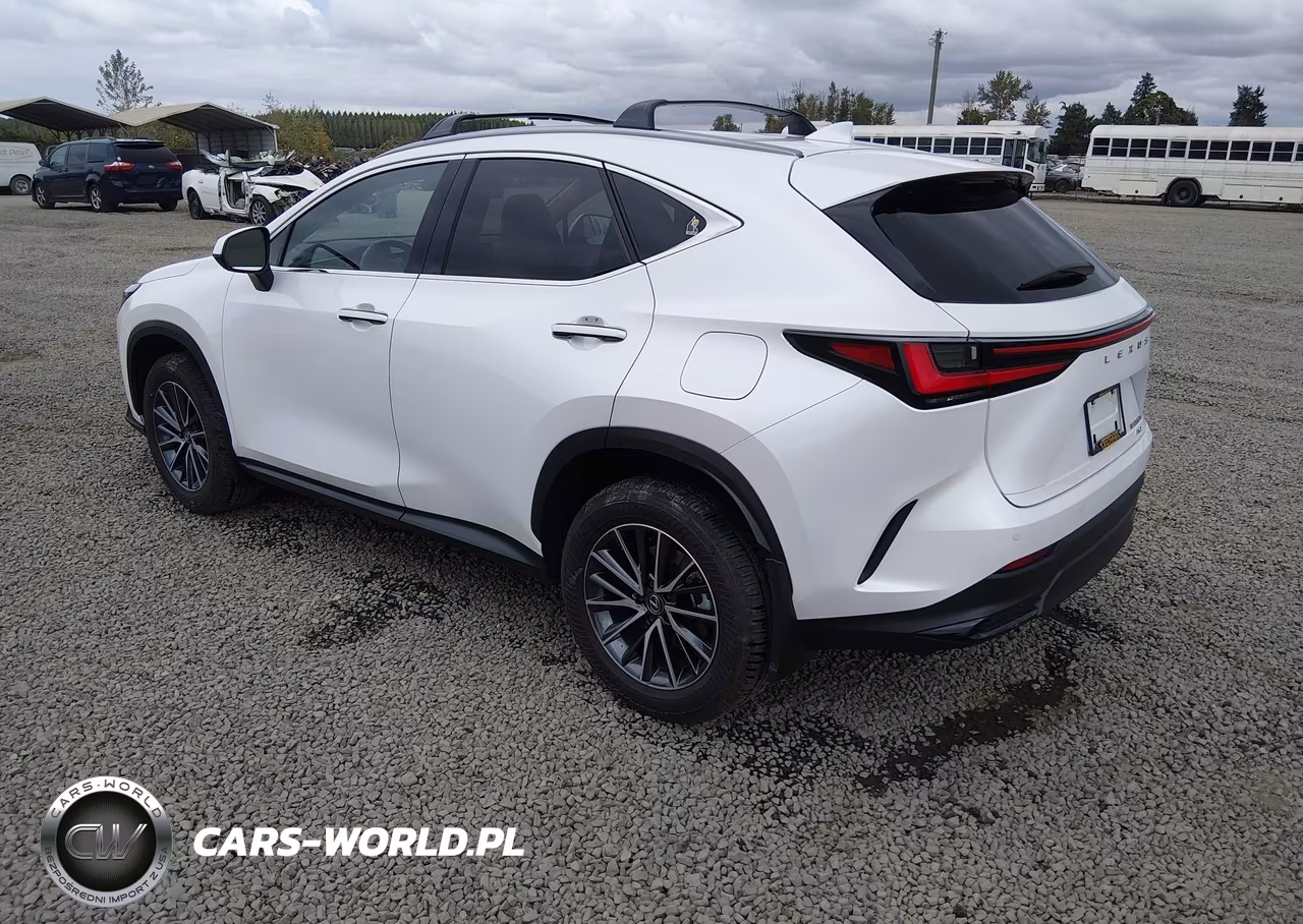 2025 Lexus Nx 350H Premium VIN:JTJGKCEZ3S2043821 - 3