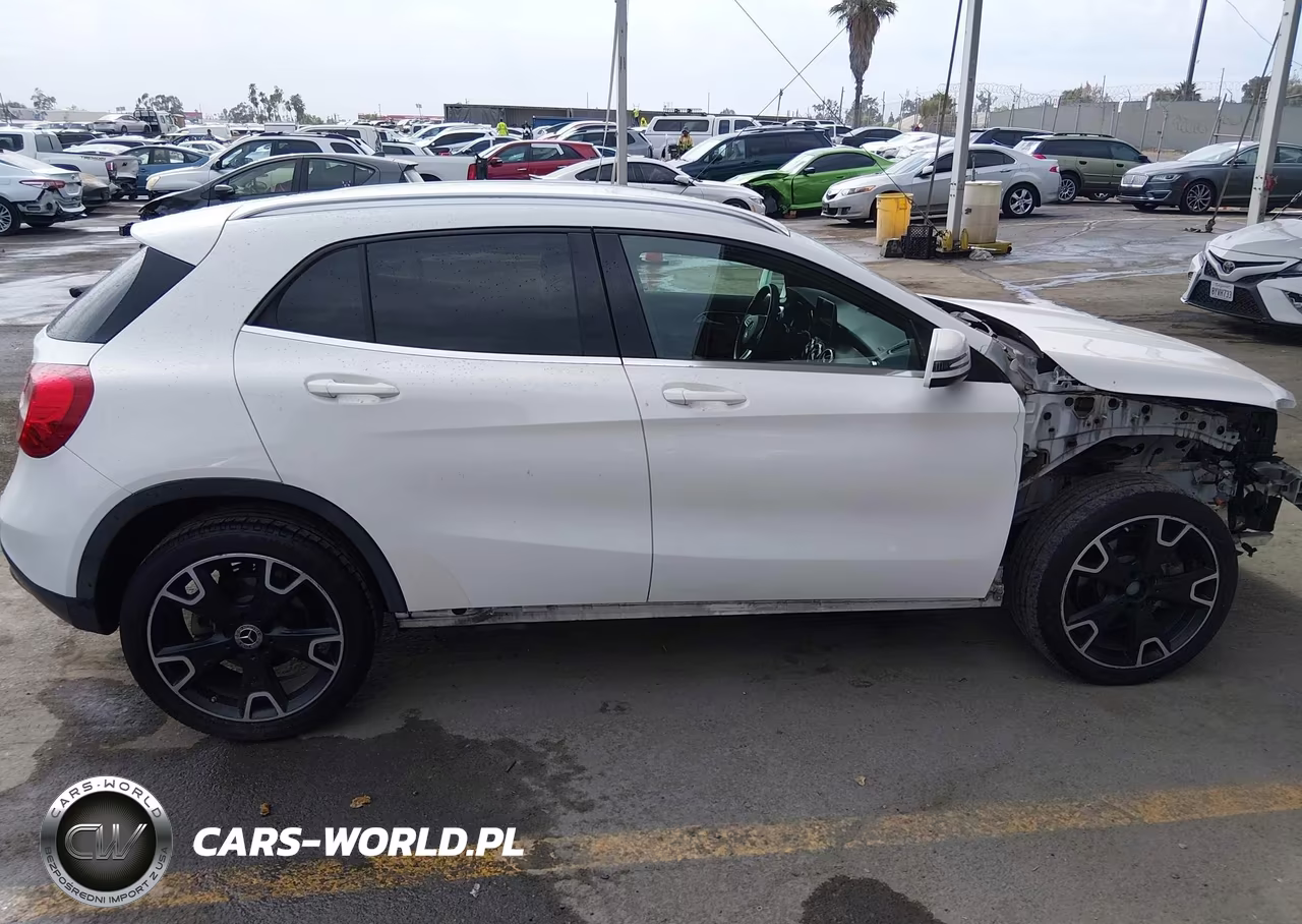 2020 Mercedes-Benz Gla 250 VIN:W1NTG4EB4LU029811 - 14