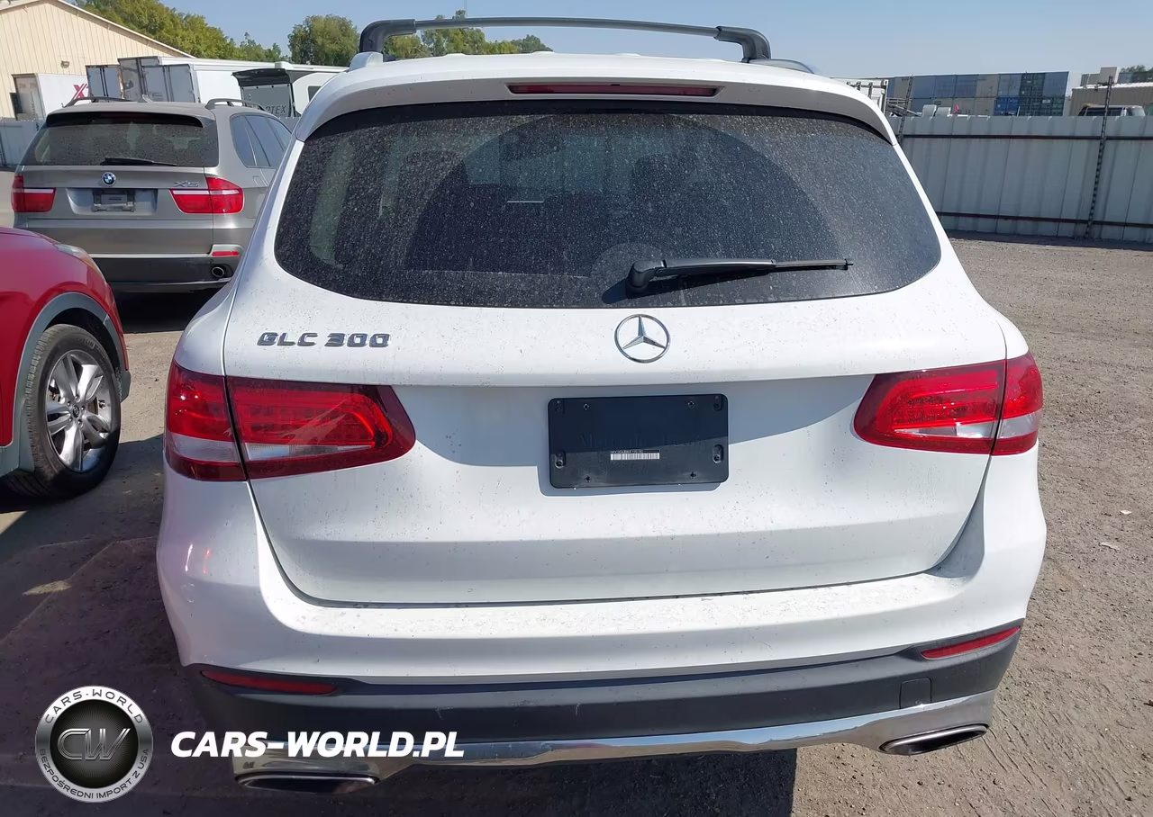 2017 Mercedes-Benz Glc 300 VIN:WDC0G4JB8HF120182 - 19