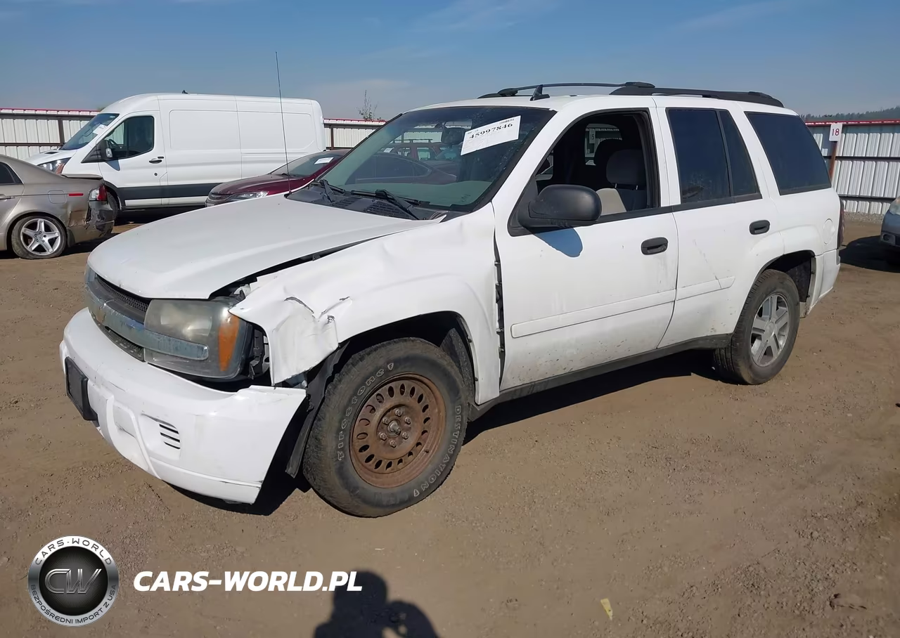 2006 Chevrolet Trailblazer Ls VIN:1GNDT13S062144387 - 2