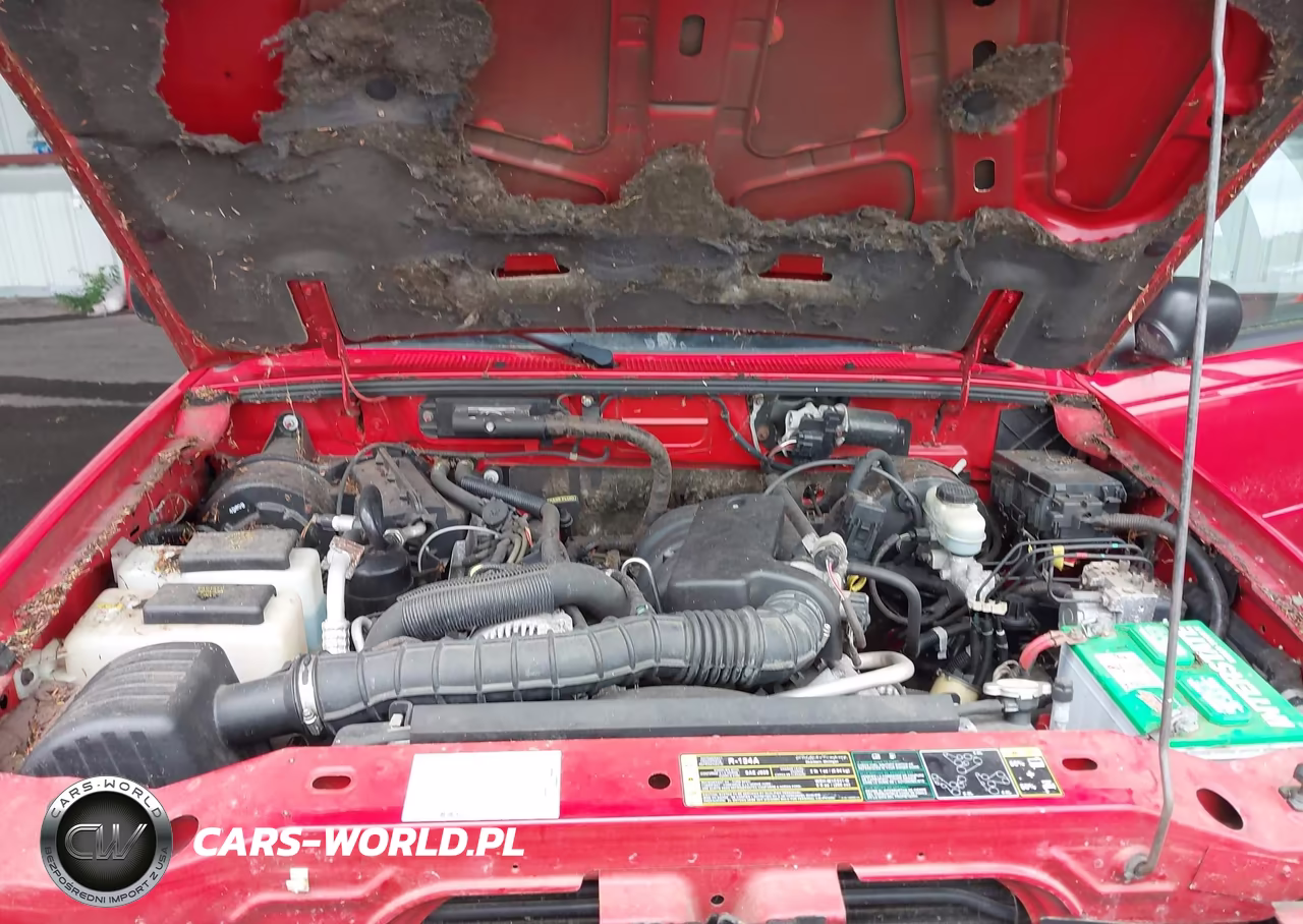2004 Ford Ranger Edge-Tremor-Xl-Xlt VIN:1FTYR14U24PB33528 - 10