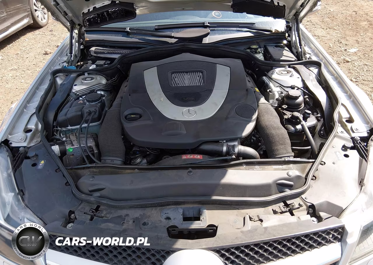 2009 Mercedes-Benz Sl 550 VIN:WDBSK71F89F143334 - 10