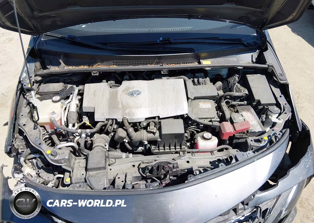 2018 Toyota Prius Prime Plus VIN:JTDKARFP2J3079900 - 10