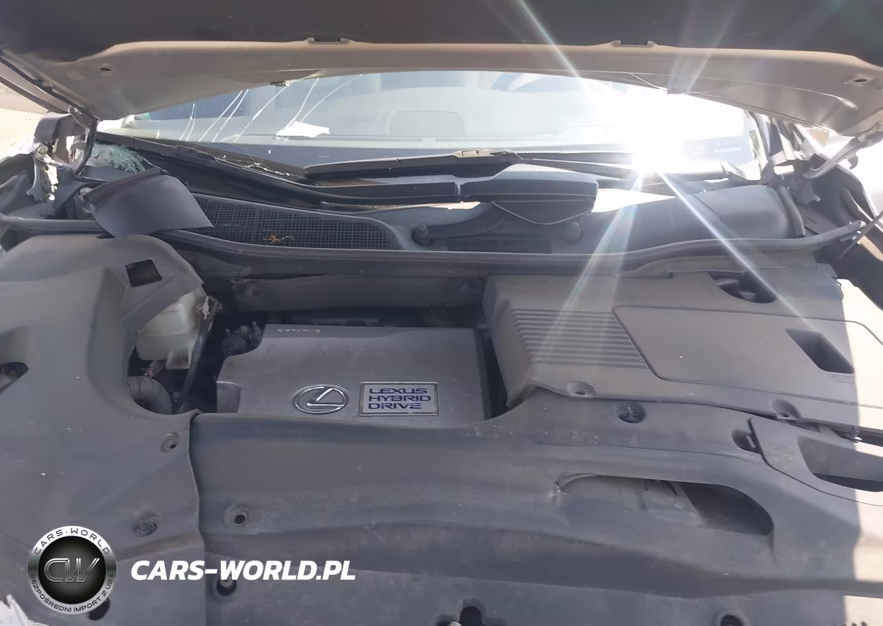2015 Lexus Rx 450H VIN:2T2BC1BA5FC010187 - 10