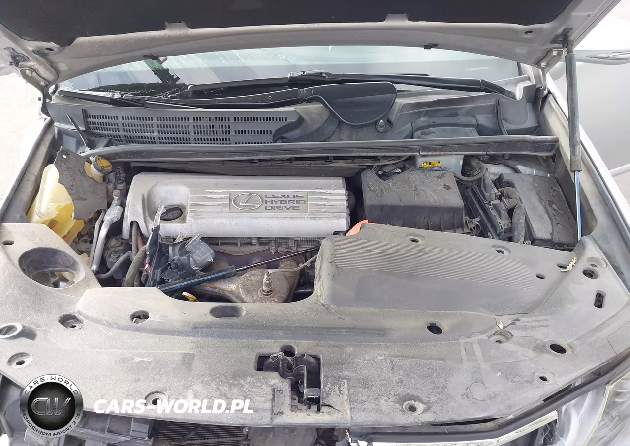 2010 Lexus Hs 250H Premium VIN:JTHBB1BA9A2026664 - 10