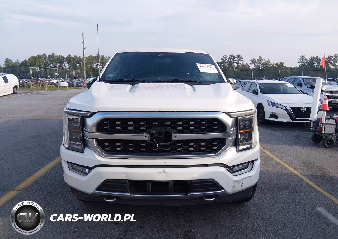 2021 Ford F-150 Platinum VIN:1FTFW1E83MFB48899 - 12