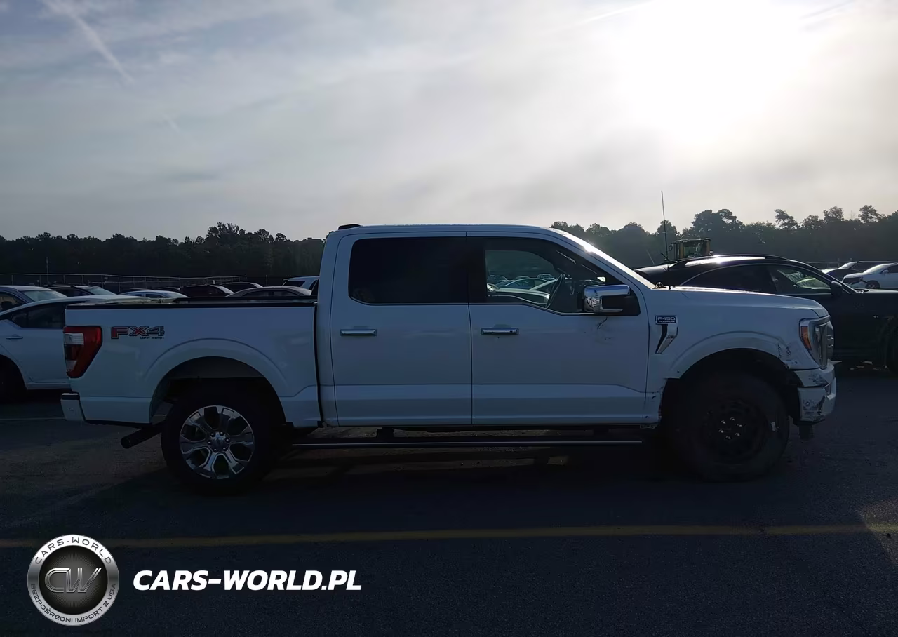2021 Ford F-150 Platinum VIN:1FTFW1E83MFB48899 - 13