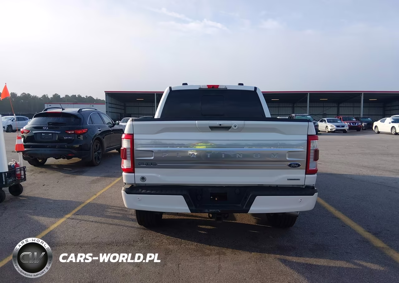 2021 Ford F-150 Platinum VIN:1FTFW1E83MFB48899 - 16