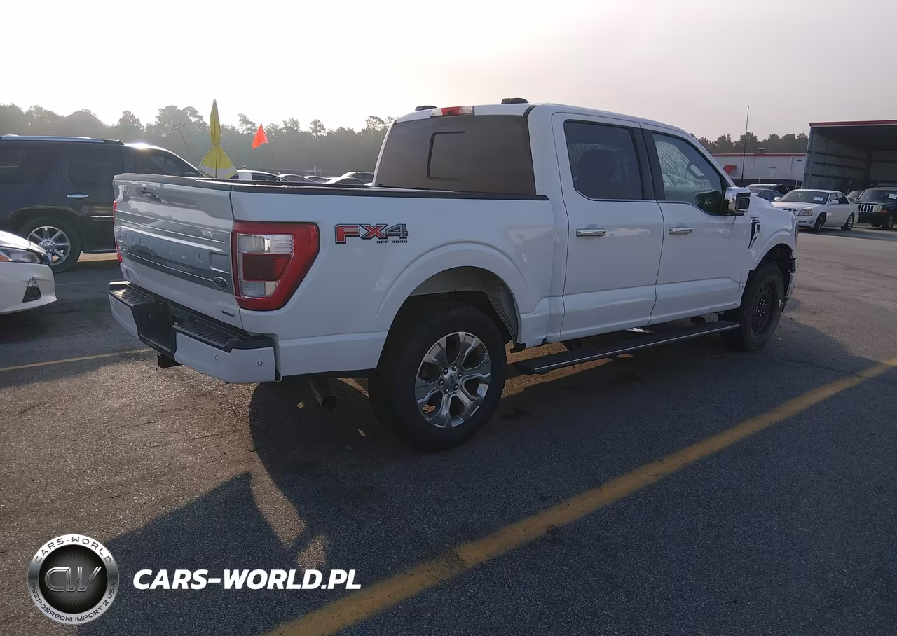 2021 Ford F-150 Platinum VIN:1FTFW1E83MFB48899 - 4