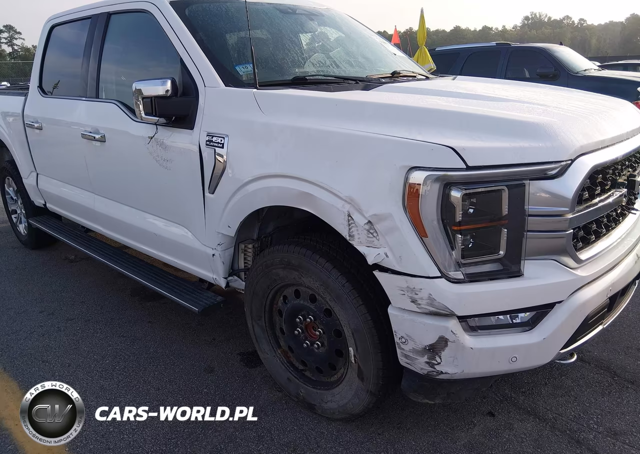 2021 Ford F-150 Platinum VIN:1FTFW1E83MFB48899 - 6