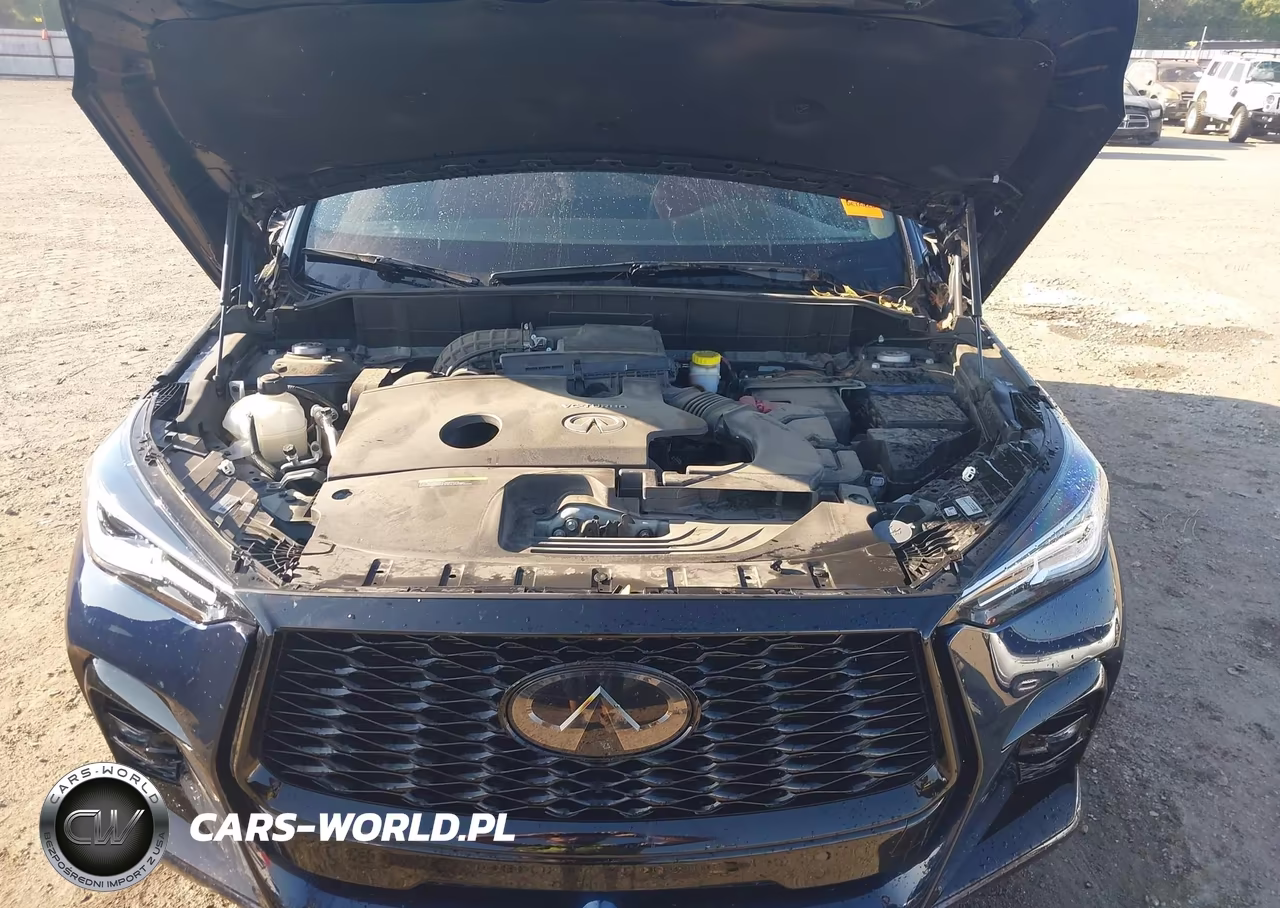 2023 Infiniti Qx50 Sport Awd VIN:3PCAJ5FB7PF113656 - 10