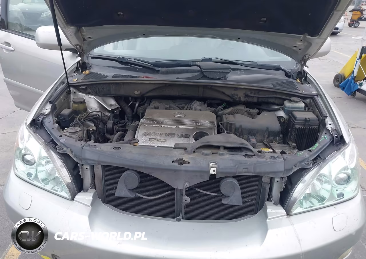 2004 Lexus Rx 330 VIN:JTJGA31U240022390 - 10