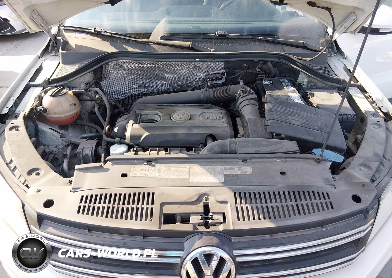 2013 Volkswagen Tiguan S VIN:WVGAV7AX6DW540073 - 10