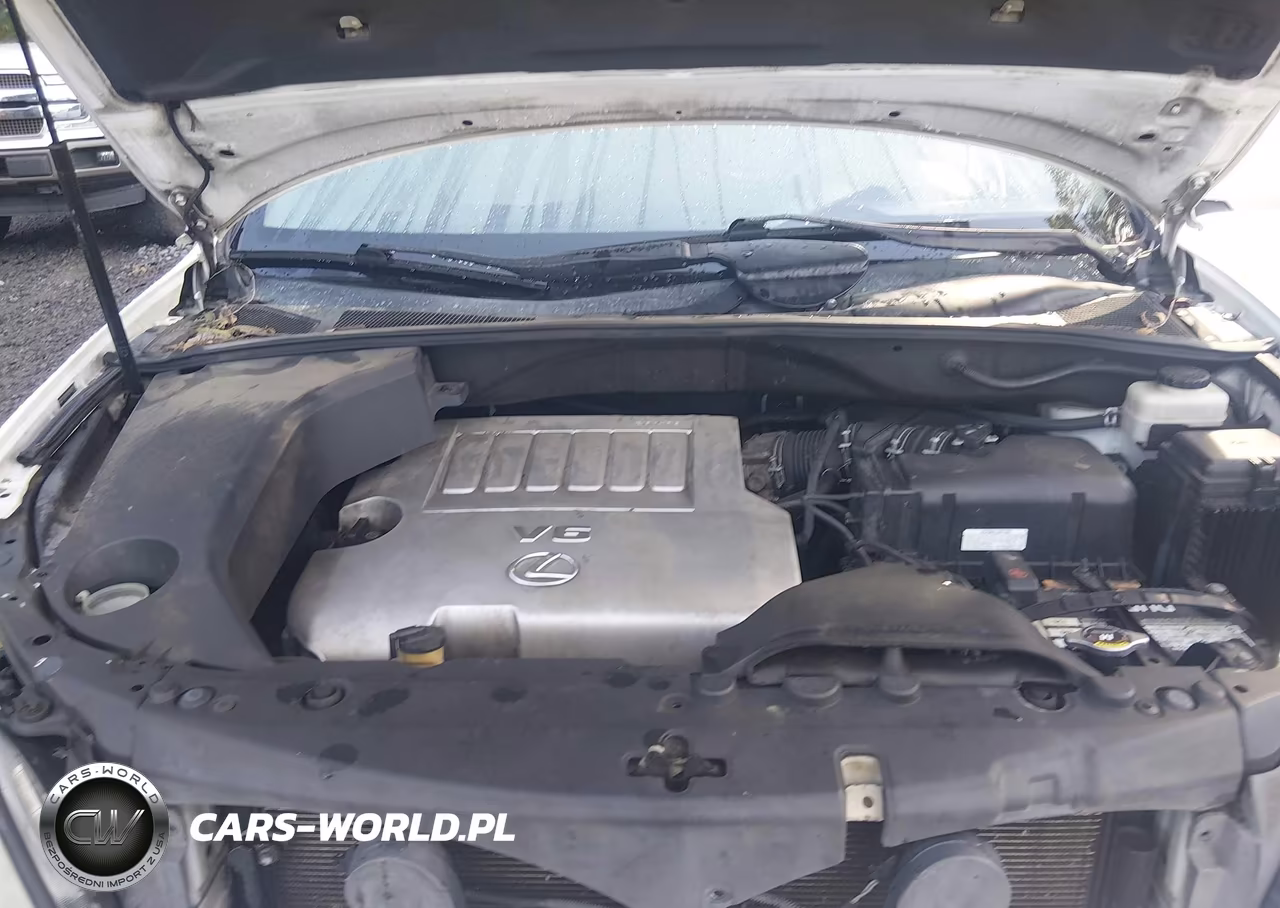 2009 Lexus Rx 350 VIN:2T2GK31U29C061716 - 10