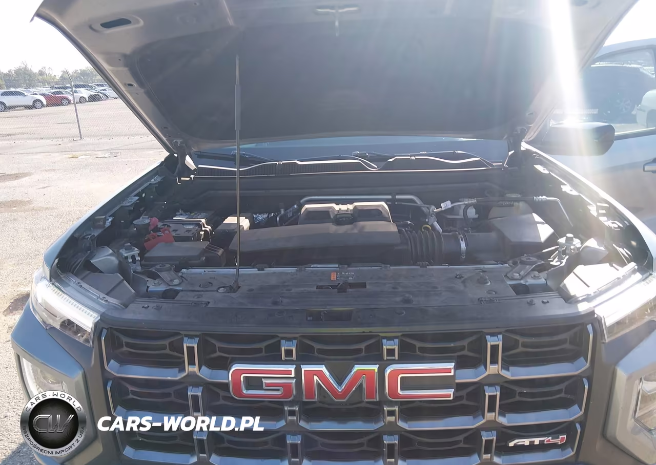 2023 GMC Canyon 4Wd Short Box At4 VIN:1GTP6DEKXP1207076 - 10