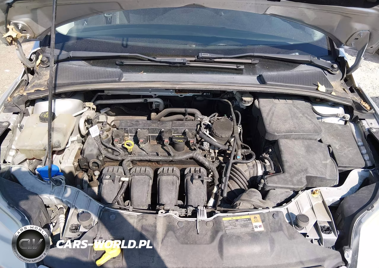 2014 Ford Focus Se VIN:1FADP3F22EL217620 - 10