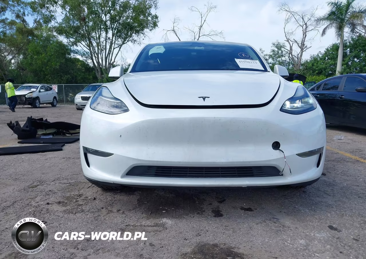 2025 Tesla Model Y Long Range Dual Motor All-Wheel Drive VIN:7SAYGDEE0SA344376 - 12